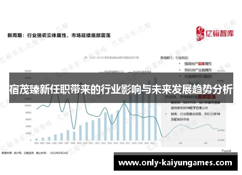 宿茂臻新任职带来的行业影响与未来发展趋势分析