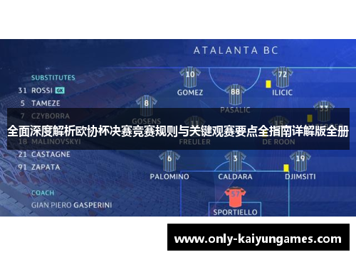 全面深度解析欧协杯决赛竞赛规则与关键观赛要点全指南详解版全册